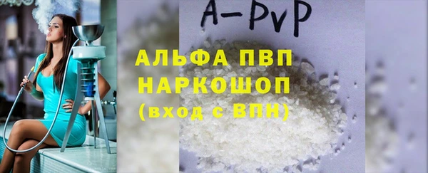 индика Осташков