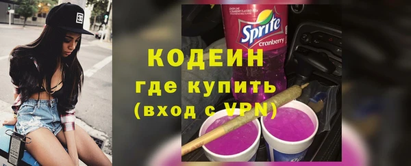 apvp Няндома