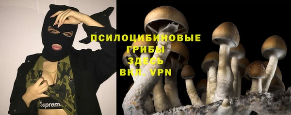 индика Осташков