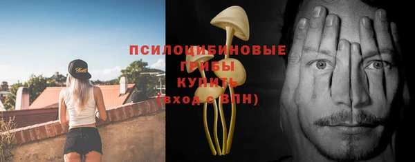 индика Осташков