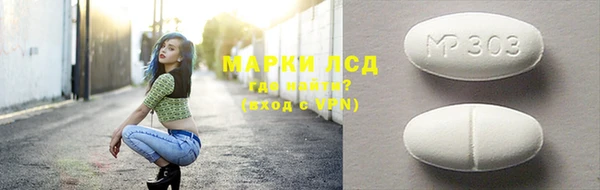 индика Осташков