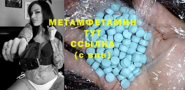 индика Осташков