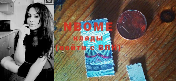 индика Осташков