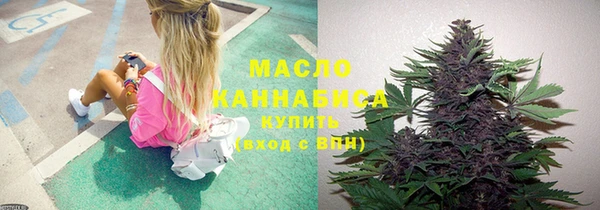 индика Осташков