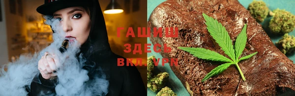 индика Осташков