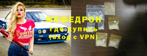 индика Осташков